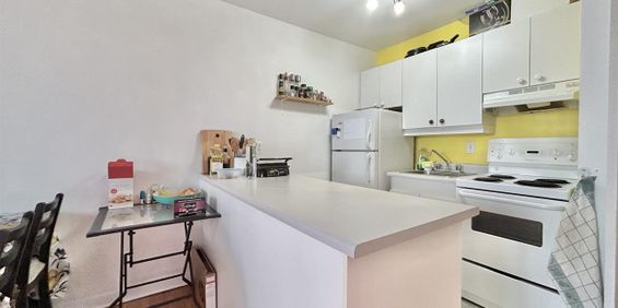 Châtelets Appartements Appartement 3 ½ à Louer Sainte-Foy / Sillery Juillet 2026 - Photo 3