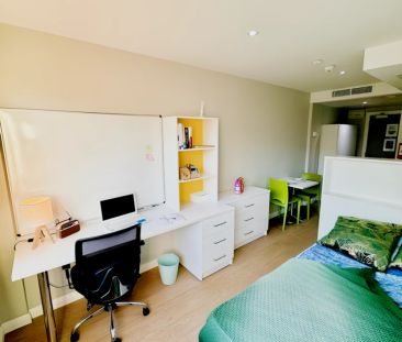 Studio - Bronze - Photo 2