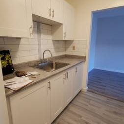 Renovated 1-Bed 1-Bath Unit in Mount Pleasant - Photo 3