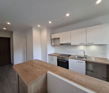 Location Appartement 1 pièce 33m² TASSIN LA DEMI LUNE 69160 - Photo 6