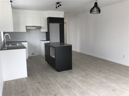 4½ (Octobre),202-820, rue Lamarche, Sherbrooke J1H 0M9 - Photo 3