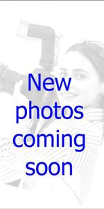 Ferndown LARGE MODERN BUNGALOW - Photo 4