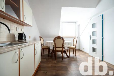 Pronájem bytu 1+1 45 m - Fotografie 2