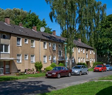 Demnächst frei! Modernisierte 3-Zimmer-Balkonwohnung mit neuem Laminat - Foto 1