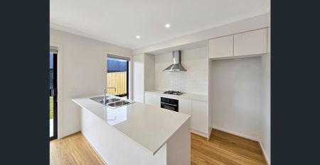 Brand New! - Photo 4