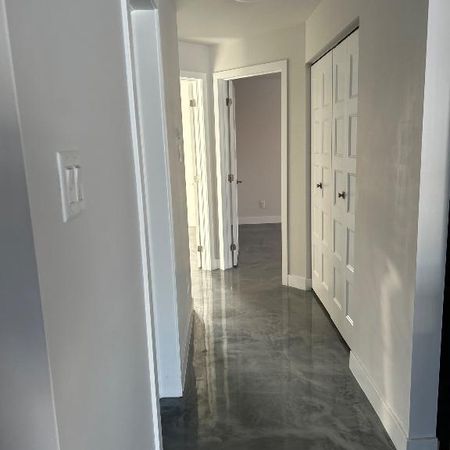 Grand 4 1/2 neuf - Photo 3