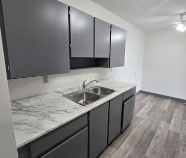 Bright South-Facing One-Bedroom Apartment on South Hill - Photo 3
