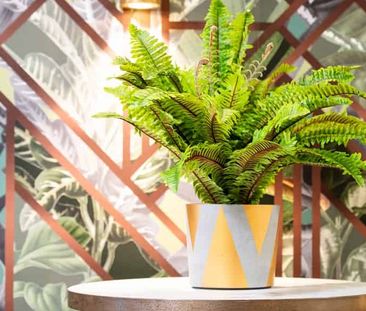 Premier Studio - Photo 4