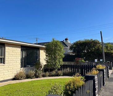 2 Bedroom home- 2 minute walk to St Clair Beach! - Photo 5