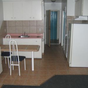 1 1/2 - Montréal (Le Plateau Mont-Royal) - 1 150 $/mois - Photo 2