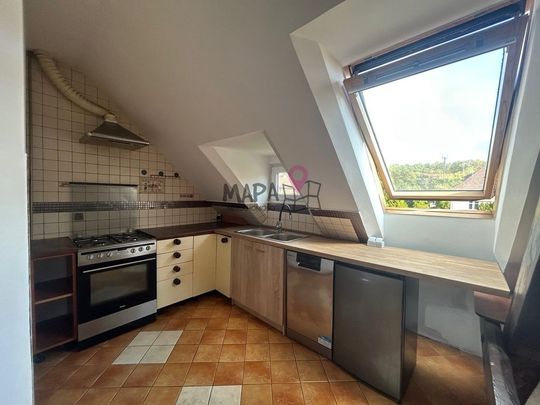 Do wynajęcia jako mieszkanie lub jako lokal - Photo 1