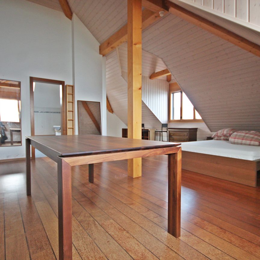 Superbe studio MEUBLE - COURTE DUREE / Vue lac - Jardin - Piscine - Photo 1