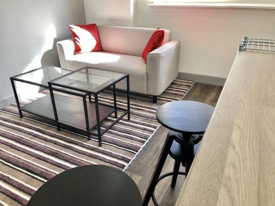 12 bedroom flat to rent - Photo 1