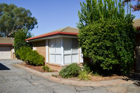 Convenient Location, Minutes From Central Albury - Photo 5