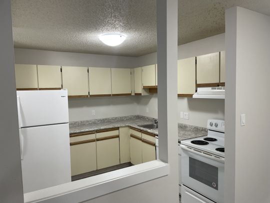 2 Bedroom Apartments – Lake Pointe Condos - Photo 1