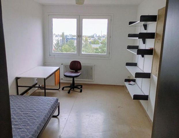 Möbliertes Zimmer in Steglitz-Zehlendorf – sofort verfügbar - Photo 1