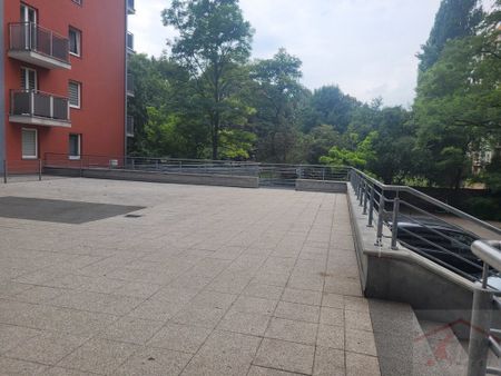 MIESZKANIE na WYNAJEM SZCZECIN (435350) - Photo 4