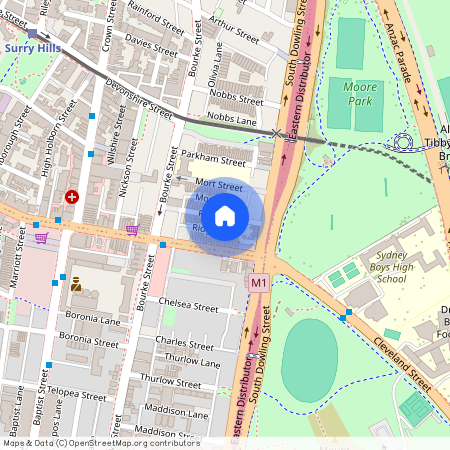 39 Ridge Street, NSW 2010, Surry Hills