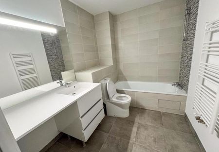 Grand appartement type 2 59 m2 Malepère Toulouse - Photo 4