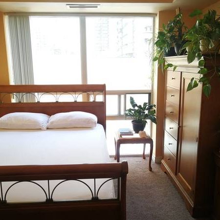 1 bedroom condo Bloor/Islington near Subway $2300 - Photo 1