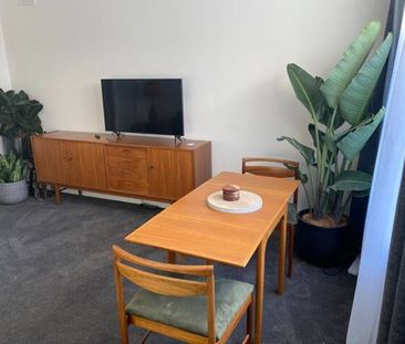 Furnished Mid Century Modern 2BDR Unit St Marys Ground Floor Small ... - Photo 3