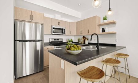 Balsam: Black Accents – 225 Peguis, Winnipeg, MB - Photo 5