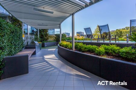1210/240 Bunda Street, City ACT 2601 - Apartment For Rent | Domain - Photo 2