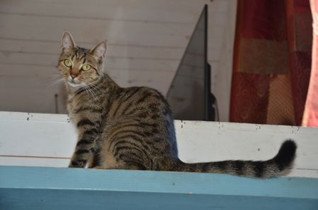 Bögerup, Stockamöllan - Photo 5