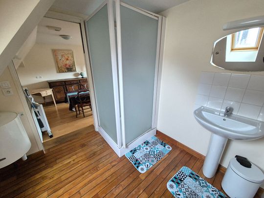 A LOUER Appartement meublé 50000 Saint-Lô CENTRE VILLE 1 chambre 25 m² - Photo 1