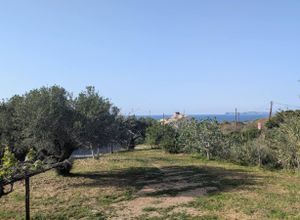 Μονοκατοικία για ενοικίαση - Σητεία, - Photo 3