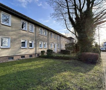 2-Zimmer-Wohnung in Herten-Disteln mieten - Foto 3