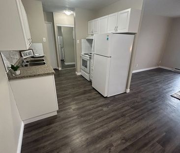 Tillson Apts 4 - ALL INCLUSIVE - Photo 4