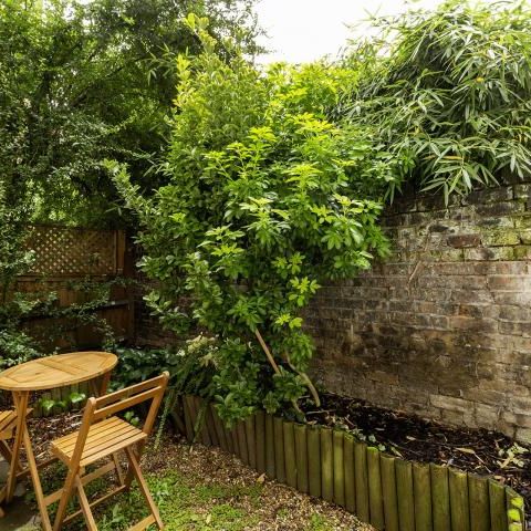 Modern recently refurbished one bed with garden in a period conversion in Camden - Photo 1