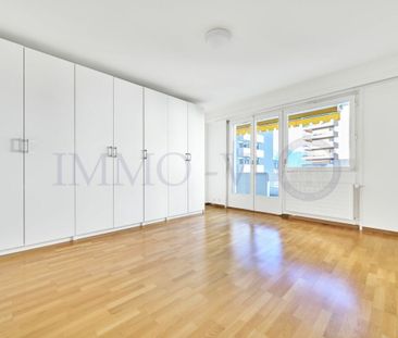 SPACIEUX AVEC BALCONS ET VUE LAC - EMPLACEMENT IDYLLIQUE - Photo 3