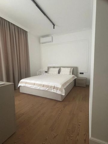 Beautiful Two-Bedroom Apartment with 233 sqm Terrace, Herastrau - Photo 4