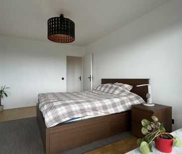 Gemeubeld 2 slaapkamer appartement op wandelafstand van Het Rivierenhof! - Photo 3