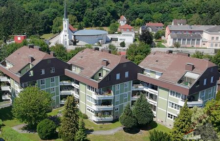 Dachterrassenwohnung in wunderschöner ruhiger Lage nähe Traisenpark - Foto 4