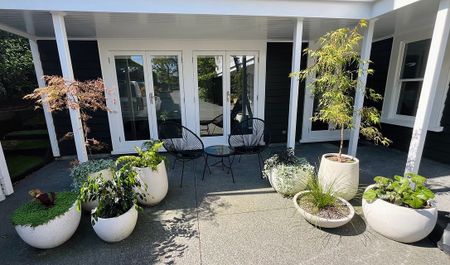 Modern Mt Eden 1BR Flat utilities & internet incl - Photo 5