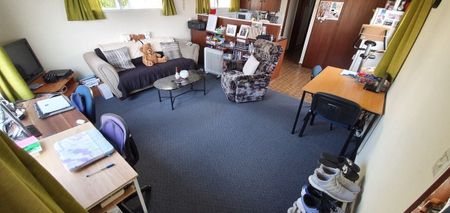 Tidy 2 bedroom apartment on Cargill Street! - Photo 5