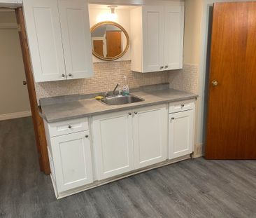 For Lease - 42 Lundy's Lane Unit# Basement, Newmarket, Ontario - Photo 2