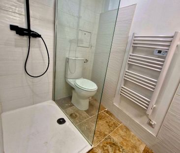 A LOUER APPARTEMENT TERRASSE RARE CENTRE LAPALME - Photo 4