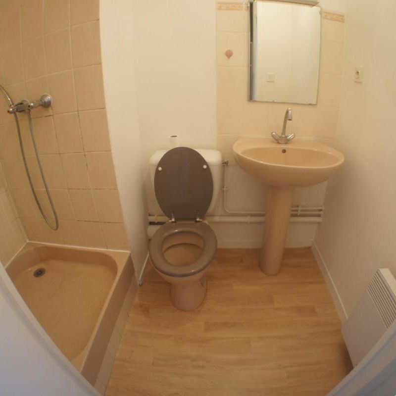Location Appartement 1 pièce Meublé 20m² ANGERS 49000 - Photo 1