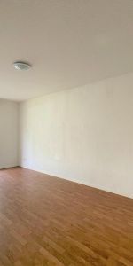 Location Appartement 2 pièces 45m² PINEUILH 33220 - Photo 4