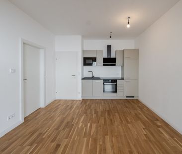 Barrierefreie Gartenwohnung mit Terrasse und Tiefgaragenparkplatz - Photo 4