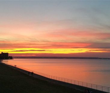 For Lease - 515 North Service Road Unit# 78, Hamilton, Ontario - Photo 6