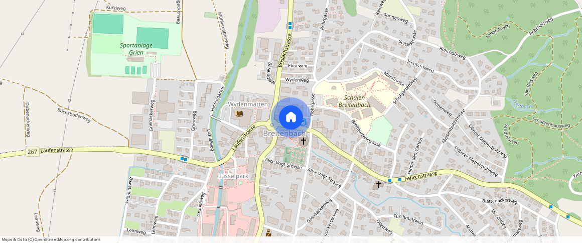 Fehrenstrasse 7 4226 Breitenbach