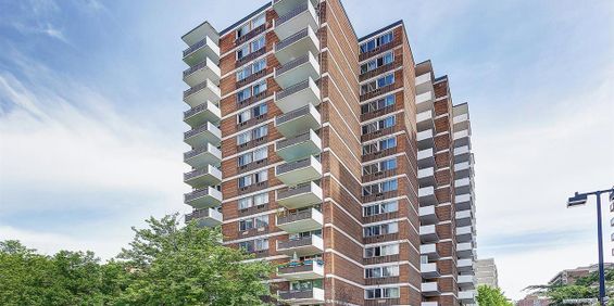 Studio - 3505 Sainte-Famille,, Montréal - Photo 3