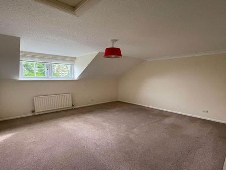 1 bedroom house to rent - Photo 4