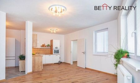 Na PRENÁJOM 2i byt PEZINOK – MUŠKÁTOVÁ – sídlisko Muškát - tehlová NOVOSTAVBA - veľký - slnečný v zeleni s veľkou 15n murovanou pivnicou - Fotografia 3