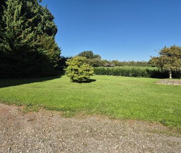 3 bedroom bungalow to rent - Photo 3